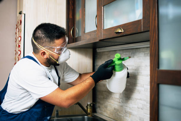 Best Best Pest Control Companies  in Mebane, NC