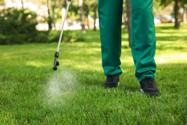 Mebane, NC Pest Control Company