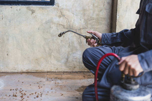 Pest Prevention Services in Mebane, NC