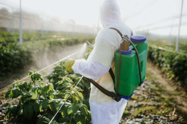 Best Exterminator Services  in Mebane, NC